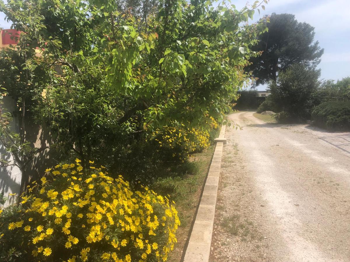 Bed and Breakfast Mazzara Farm Manduria Exterior foto