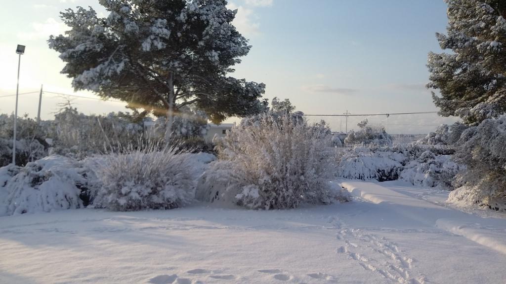 Bed and Breakfast Mazzara Farm Manduria Exterior foto